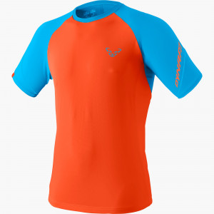 DYNAFIT Alpine Pro Kurzarm T-Shirt Herren Frost 2020 Laufshirt Kurzarm DYNAFIT Alpine Pro Kurzarm T-Shirt Herren Frost 2020 Laufshirt Kurzarm