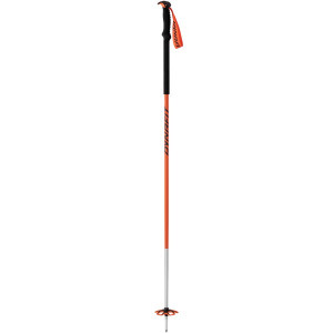 dynafit speed pole