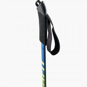 dynafit speed pole