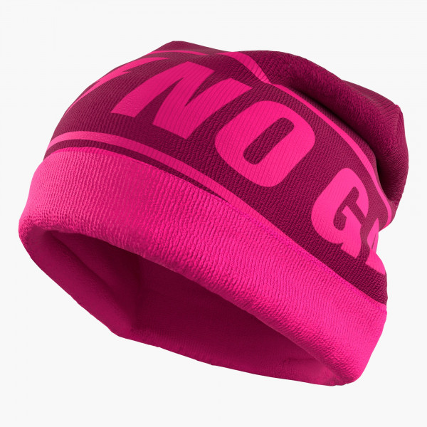Reversible Tour Beanie